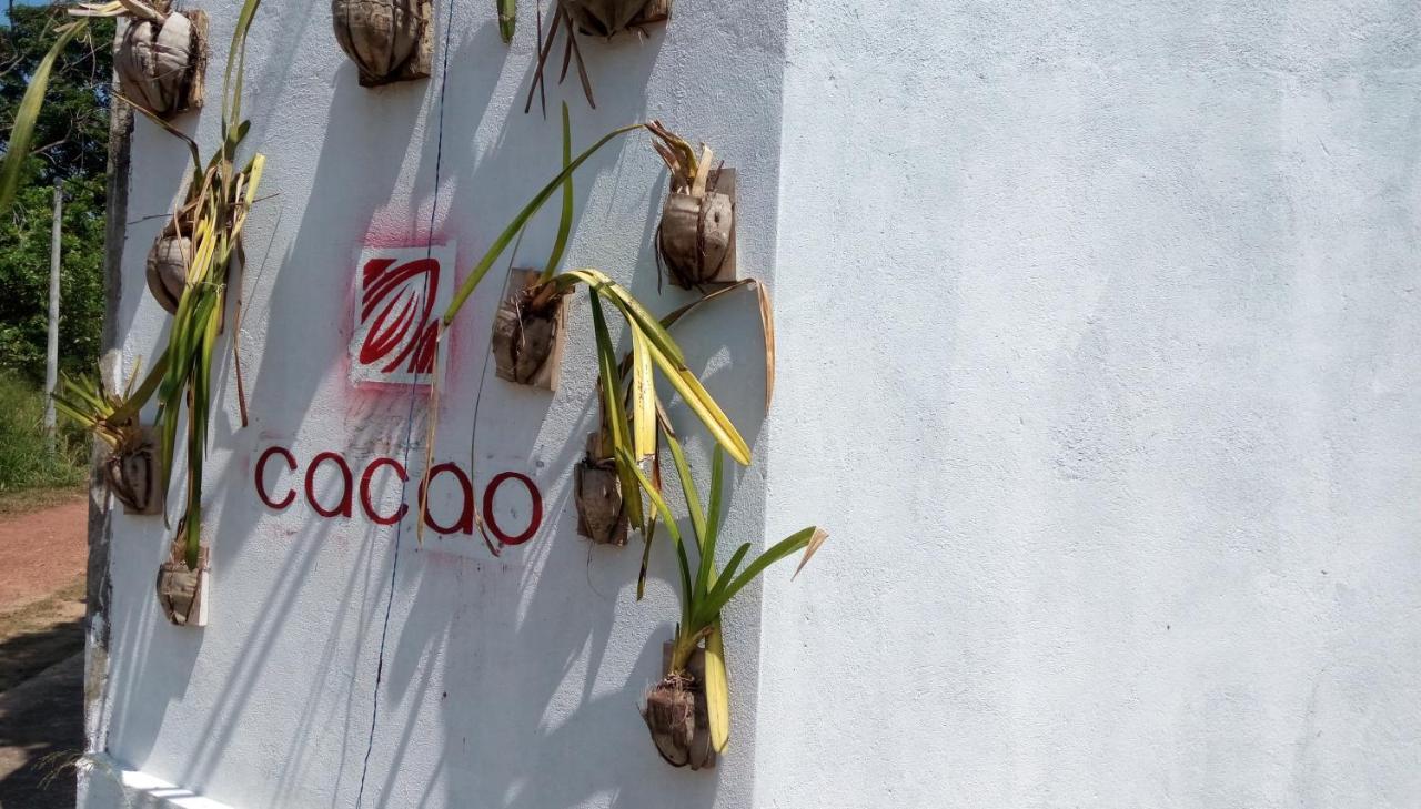 Cacao Ξενοδοχείο Katunayaka Εξωτερικό φωτογραφία