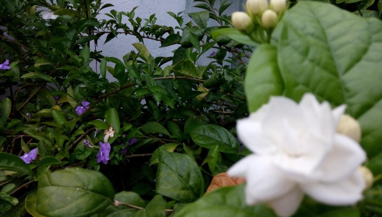 Cacao Ξενοδοχείο Katunayaka Εξωτερικό φωτογραφία